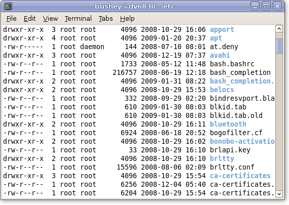 Directories in the terminal